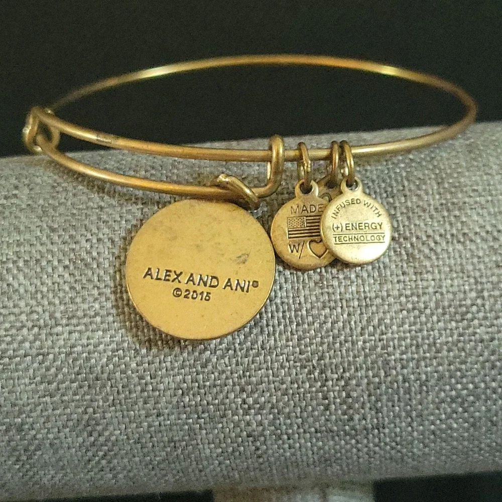 Alex and Ani Alpha Chi Omega AXO Bangle Bracelet Rafaelian Gold   Preppy